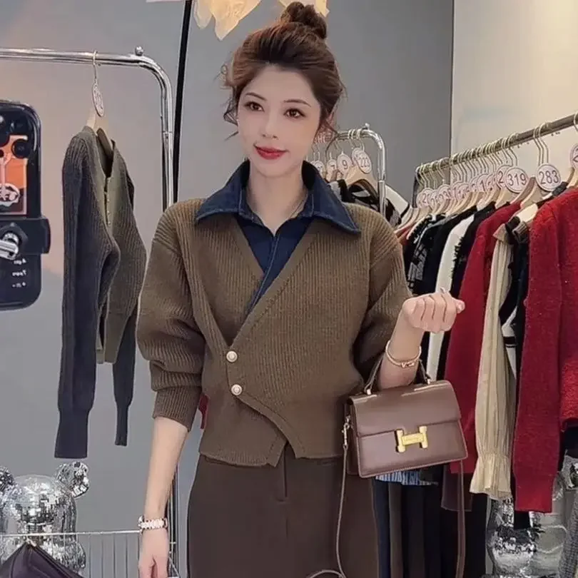 Winter Clothing Offer - Kadın Polo gömlekler örme Baggy gidip